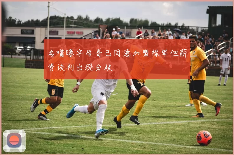 名嘴曝字母哥已同意加盟绿军但薪资谈判出现分歧