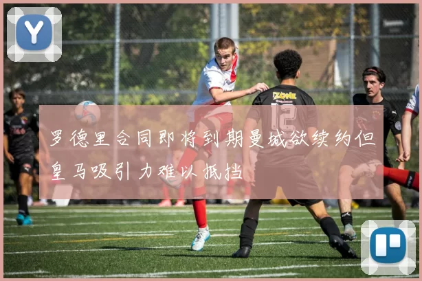 罗德里合同即将到期曼城欲续约但皇马吸引力难以抵挡